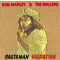 Rastaman Vibration