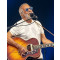 Cat Stevens