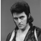 Alvin Stardust