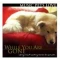 Music Pets Love: While You Are Gone