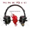 The Audio Injected Soul