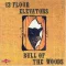 Bull of the Woods