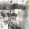 Oscillations