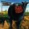 Dude Ranch