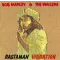 Rastaman Vibration