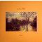 Lote Tree