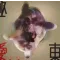 Kyokutou I Love You