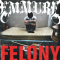 Felony