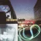 Snakebite: Blacktop Ballads & Fugitive Songs